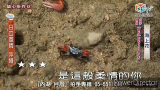 子芸  海上花 1090115