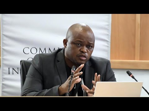 Brown Mogotsi Ugaxele Azisekho Izimpendulo Madlanga Commission