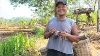 splitting rocks, blocking new paths part 1