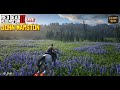 Red Dead Redemption 2 Live | John Marston Gameplay | RDR2 PC 1440p QHD