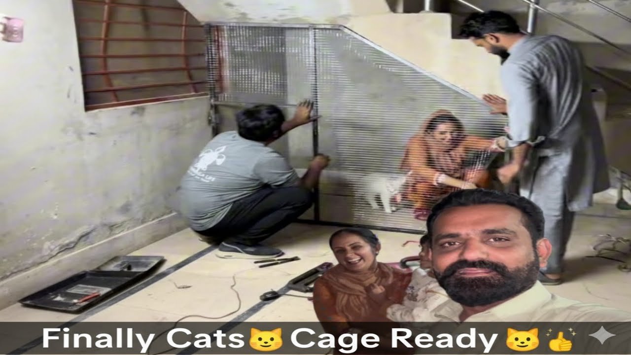 Finally Cats 😹 Cage Ready | Thanks Sajjad Veer | Punjabi Reviews