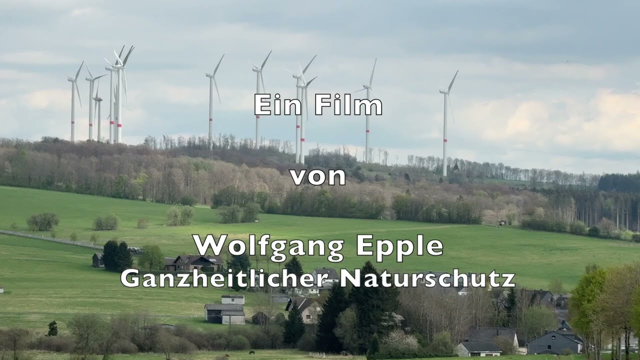 Windkraft zerstört regionalen Grünzug im Westerwald - 