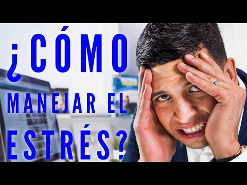 Video: Cómo Conseguir Una Entrevista De Estrés