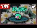 05/11 - LIVE shiny hunting for Shaymin in Pokémon Platinum!