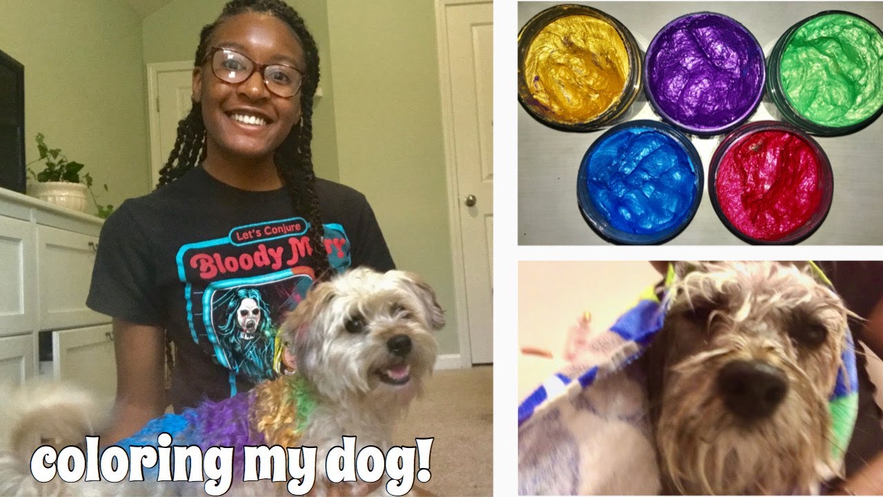 Coloring my dog the rainbow! - YouTube