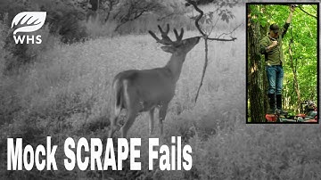 Top 8 Mock Scrape Fails
