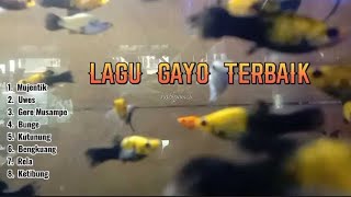 Download Mp3 The Best Gayo Songs @hobigemes  Musik Menembus Batas Ruang dan Waktu Gudang lagu Download Mp3 The Best Gayo Songs @hobigemes  Musik Menembus Batas Ruang dan Waktu