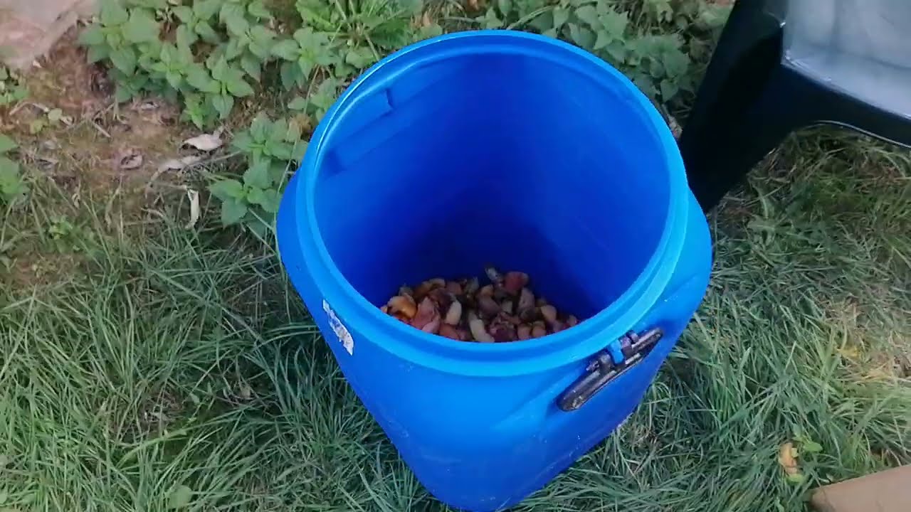 Comment Faire Son Eau De Vie Maison