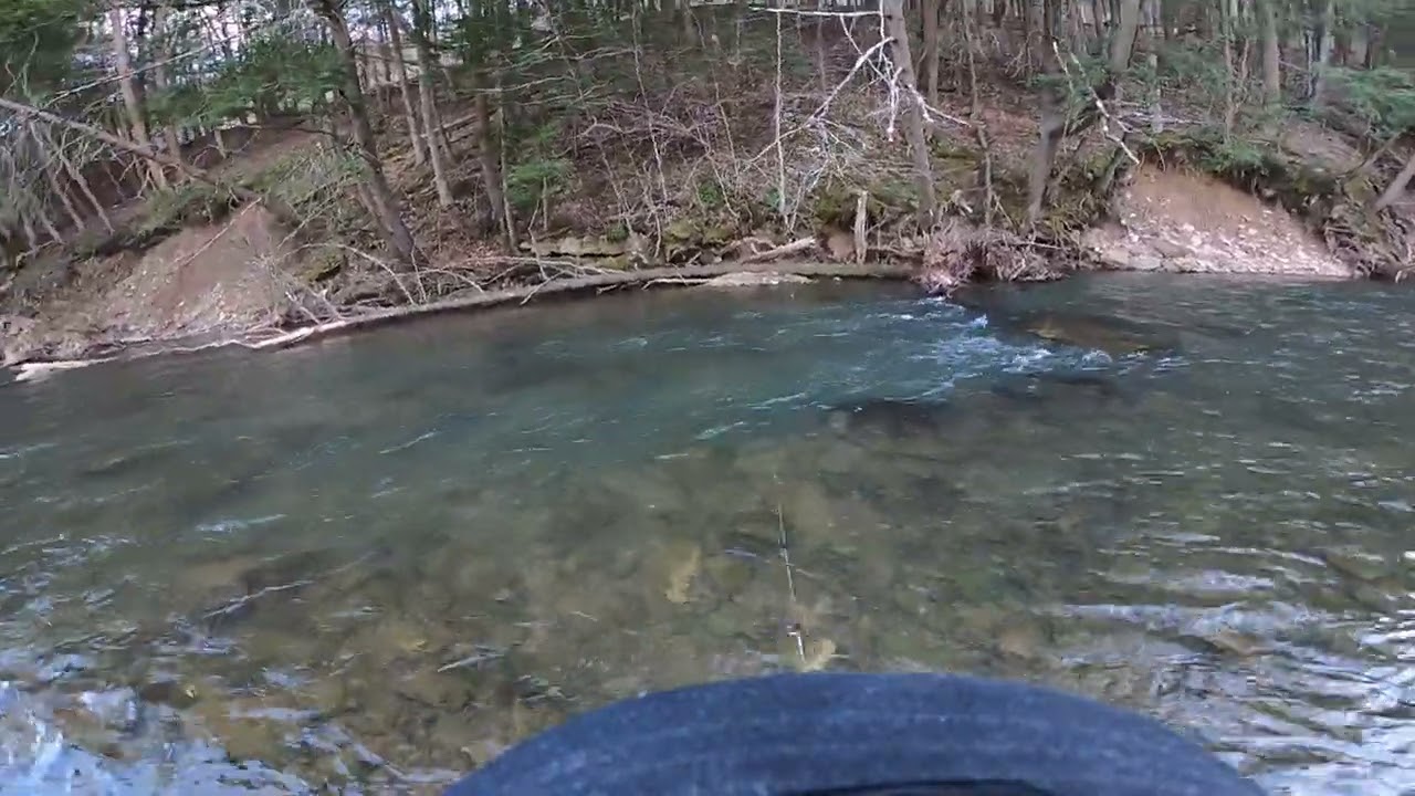Yankin trout lip at Hicks run, Elk county,  Pennsylvania