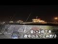 狙いは何でも 夜中のぶっ込み釣り
