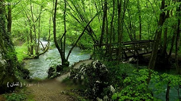 القارئ الشيخ { انس ميمان } - سورة { لقمان }