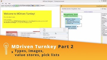 MDriven Turnkey | Part 2 | Types, images, value stores, pick lists