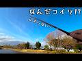腕の限界。茨城じゃない谷田川でへらぶな釣りしたらヤバかった【群馬県板倉町 谷田川】