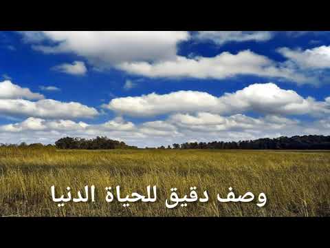 وصف الحياة الدنيا في القرآن الكريم
