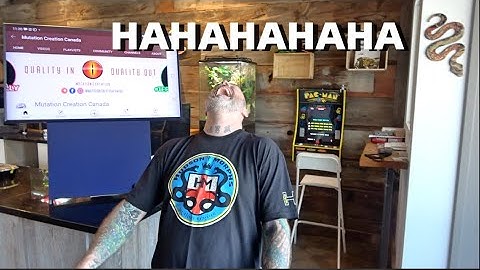 MC Pic Of The Week! A lot Of Great Ball Pythons!