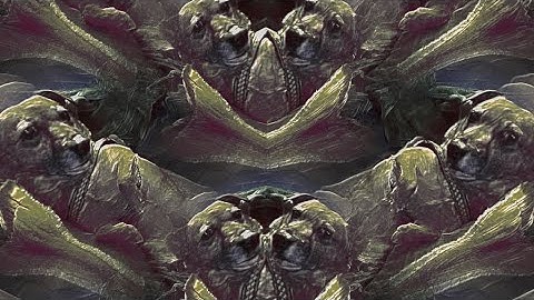 "preset cordinates to the edge" DAWless Live looping instrumental w/ trippy fx