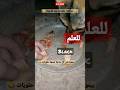 طالعة فى دماغي نروق شوية أعدي عليك وتنزلي