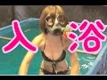 【入浴】需品学校の野外入浴セットを体験!【レア体験】