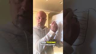 Physical, Emotional and Chemical Stressors build up until a perfect storm turns on Genes that make