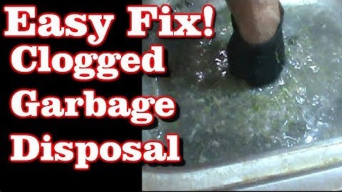 Clogged Garbage Disposal (EASY FIX!)