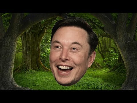 when-elon-musk-donated-$1,000,000-to-team-trees-[meme]