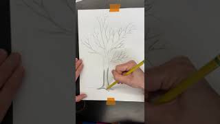 Unit 2: Tree Drawing: Adding Value