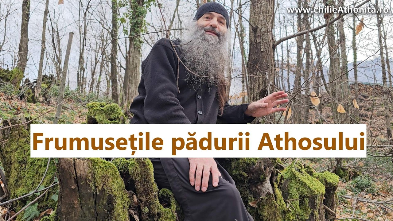 Frumusețile pădurii Athosului: brândușe, Rai și smerenie - p. Pimen Vlad