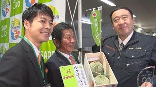 夕張メロン2玉320万円 初競り過去最高額、北海道