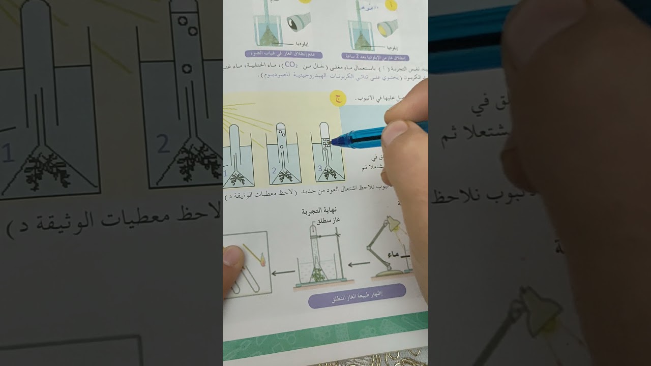 المبادلات الغازية اليخضورية عند النبات الاخضر سنة اولى متوسط