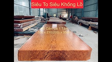 Sập Chiếu Phản 1 Tấm Gỗ Cẩm Lai Khủng VIP| đã ht xong, kt 550 x 210(203) x 35cm - Gỗ Việt Bắc