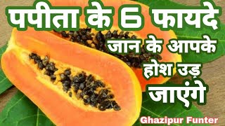 पपीते के 6 फायदे जानकर आपका होश उड़ जाएंगे,Knowing the 6 benefits of papaya will blow your senses. screenshot 5