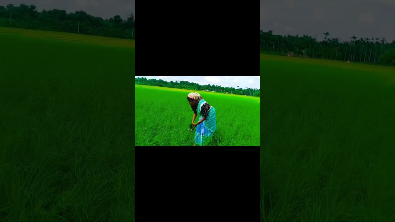 𝘼𝙖𝙢 𝙝𝙤 𝙢𝙖𝙣𝙞𝙠 𝙟𝙤𝙧 𝙩𝙪𝙬𝙖𝙧 𝙝𝙤𝙥𝙤𝙣 \ 𝙣𝙚𝙬 𝙨𝙖𝙣𝙩𝙝𝙖𝙡𝙞 𝙥𝙧𝙤𝙢𝙤 𝙫𝙞𝙙𝙚𝙤/𝙏𝙚𝙨𝙖𝙡𝙤𝙣𝙞 𝙩𝙪𝙙𝙪 𝙤𝙛𝙛𝙞𝙘𝙞𝙖𝙡 𝙘𝙝𝙖𝙣𝙣𝙚𝙡/