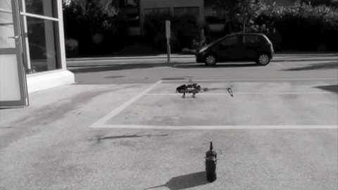 Flymentor KDS 450 SV