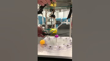 Delta Robot Range Testing