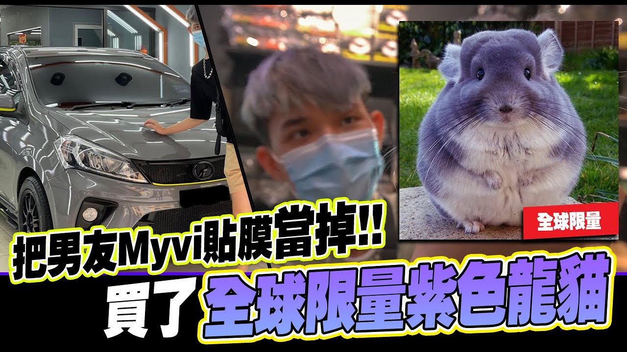 把男友的Myvi貼膜當掉!! 買了全球限量紫色龍貓!