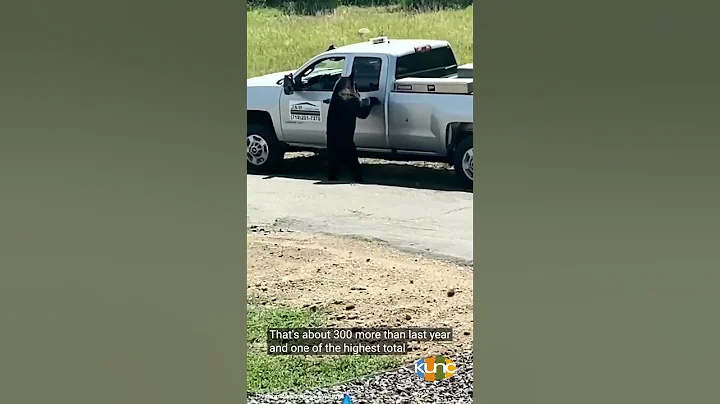 KUNC: CPW Reports Bear Conflicts