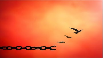 Forgiveness Guided Meditation - Forgive others, forgive yourself By Jason Stephenson