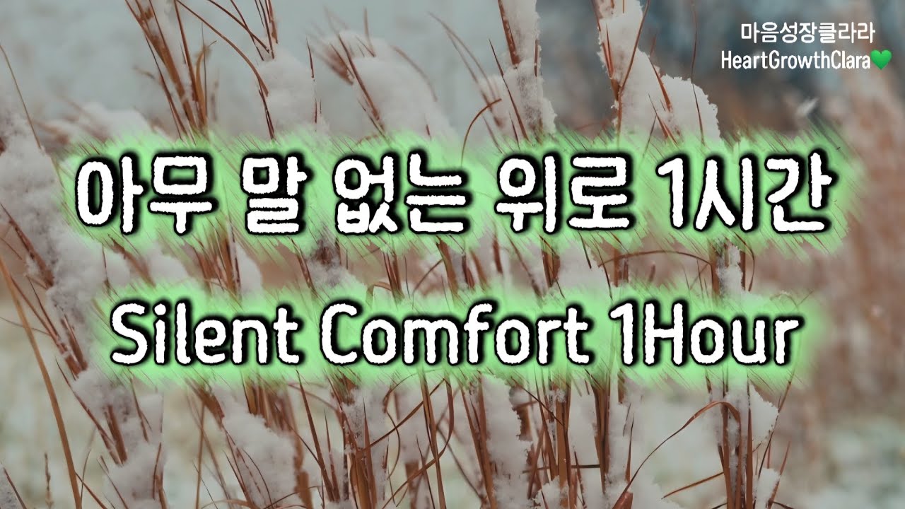 아무 말 없이 위로가 되는 밤 힐링 1시간💚 | Gentle Comfort Music for a Quiet Night 1Hour💚