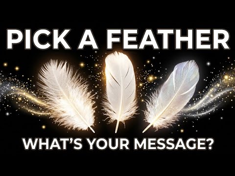 A Sign / Omen from Above Has Found You, What Will it Mean? 🪶 Psychic Tarot & Oracle Messages