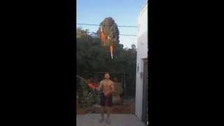 5 Club Backcrosses