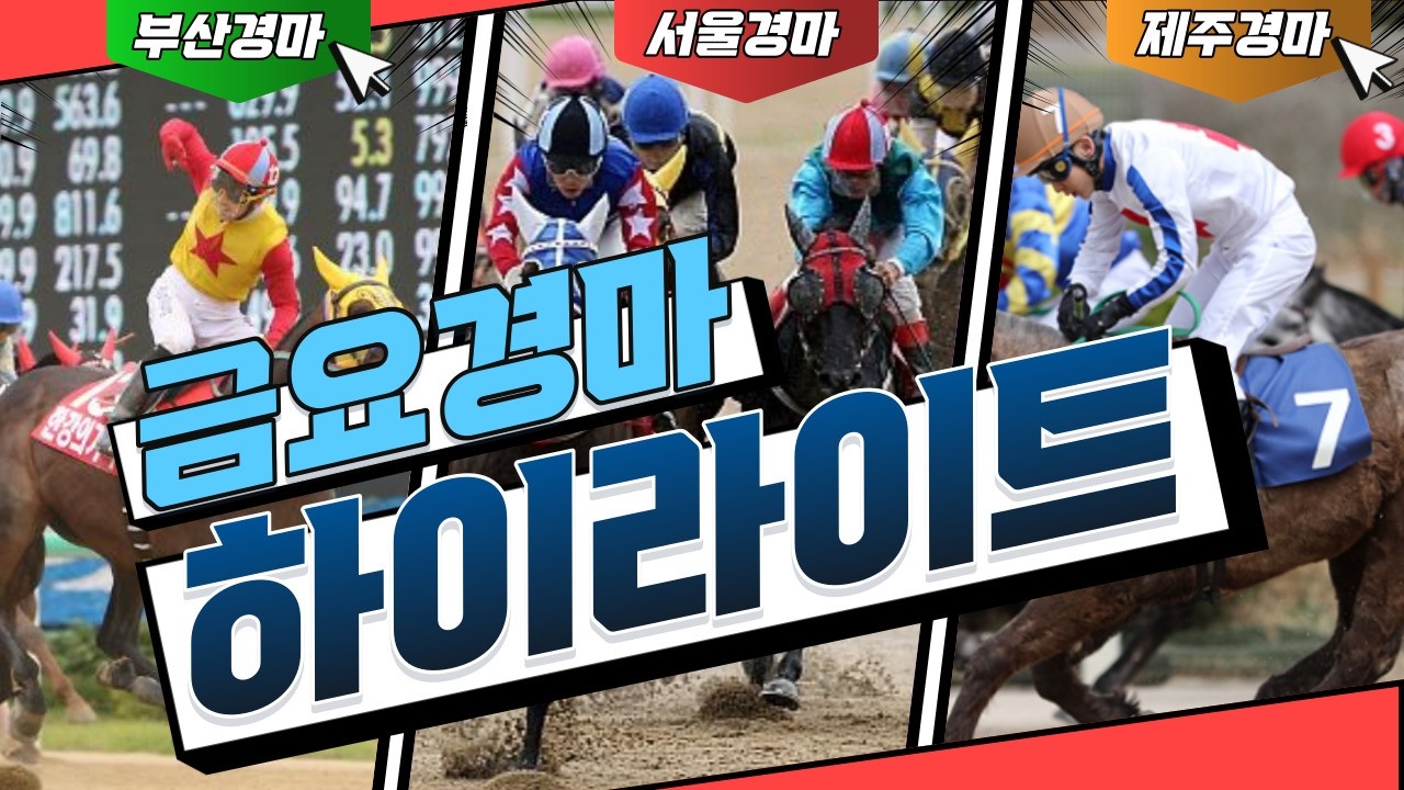 [경마]  2026년4월24일 금요경마(부산/제주) 결과 하이라이트