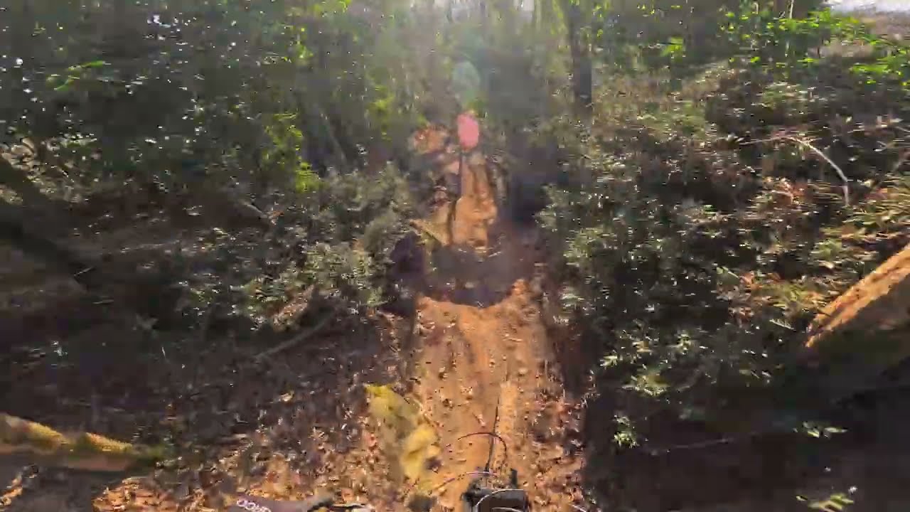 RAW MTB ASMR | Shredding PS2 & PS3 - Colli Euganei 🇮🇹 (Pure Sound)