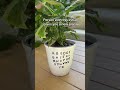 Looks like you’re getting a new plant 🪴😉 #plantlover #plantcare