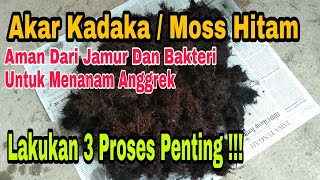 Cara Mengolah Akar Kadaka/Moss Hitam Menjadi Media Tanam Anggrek Yang Baik