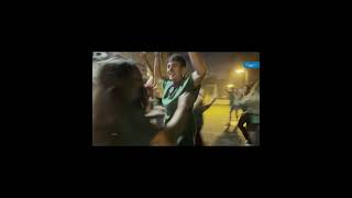 Zubietako Jaiak 2025 Gaupasa Eguna