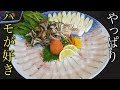 【匠】プロの料理人からたくさんのハモ料理を学んできました！！