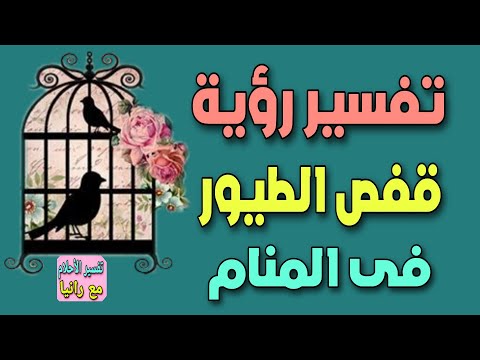تفسير رؤية قفص الطيور فى المنام لابن سيرين