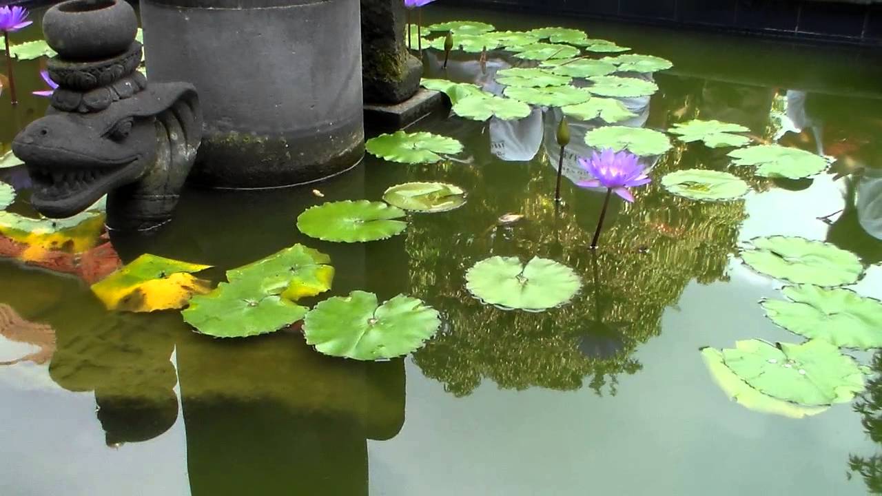 Taman Wihara Candi Mendut
