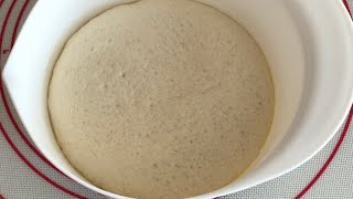 Homemade Pizza Dough (00 Pizza Flour)