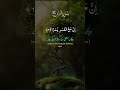 Quran Kareem| #foryou #foryoupage 🔥#, viral video